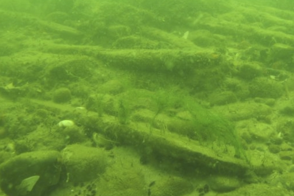 W czasie budowy sztucznej rafy w Rowach znaleziono zabytkową broń